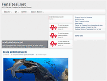 Tablet Screenshot of fensitesi.net